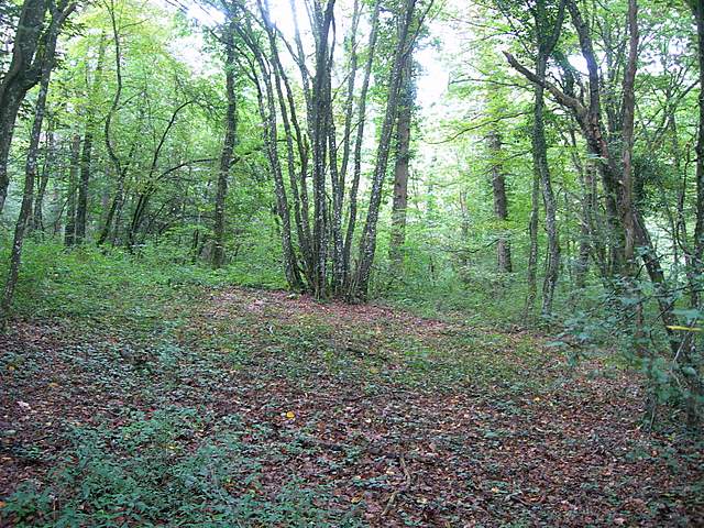 Le colline prodigiose della valle del Leimental